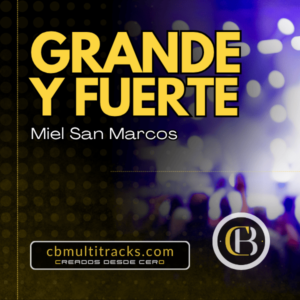 GRANDE Y FUERTE - Miel San Marcos